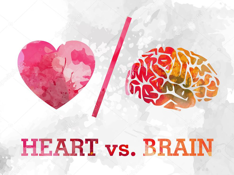 a szív egészsége az agyhoz kapcsolódik a város szíve egészségügyi központ fax